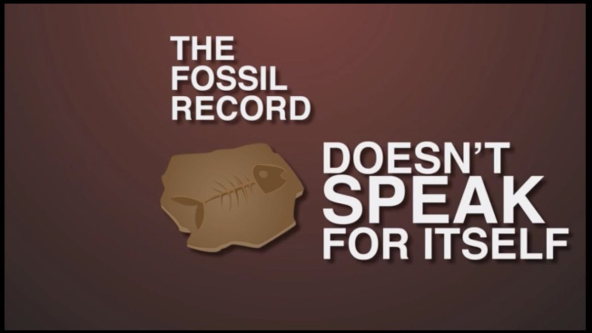 The Fossil Record
